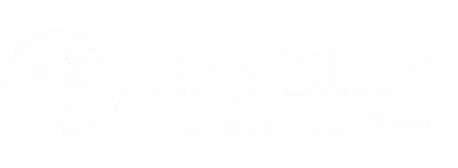 Bling Bling Sweet Dreams Logo