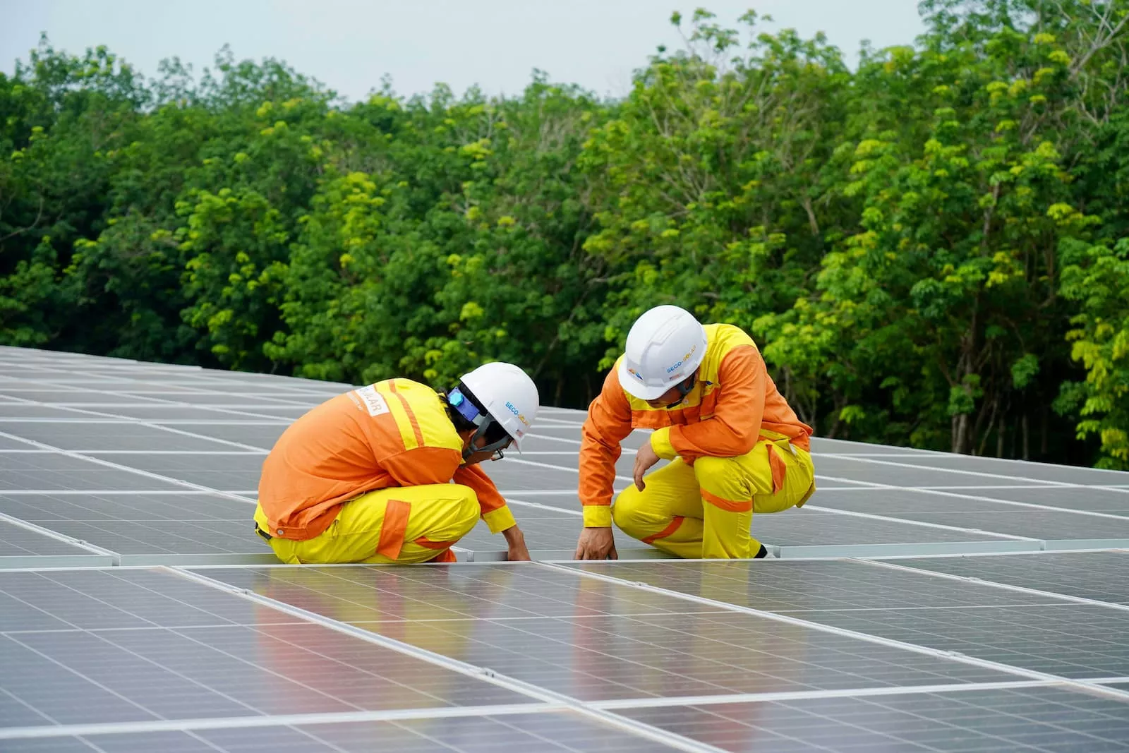 SEO und Leads für Solarprojekte